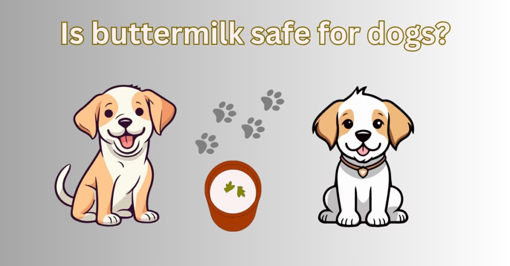 Is buttermilk safe for dogs?