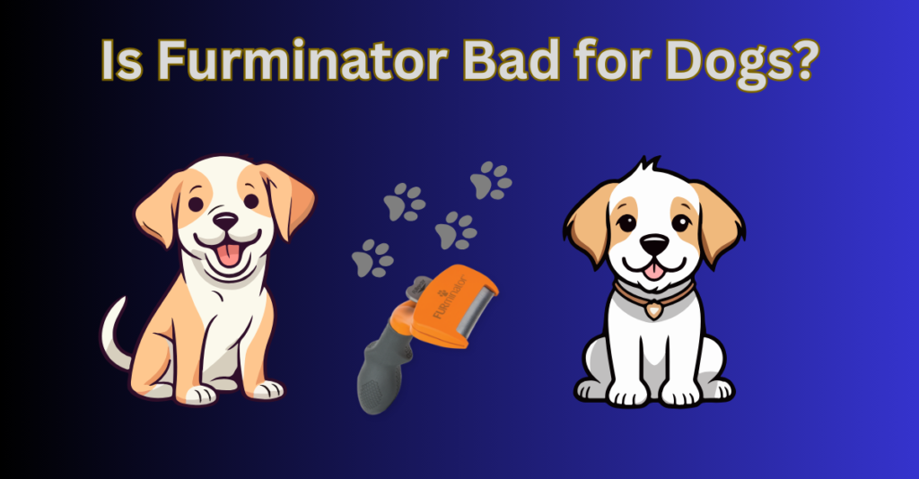 Is Furminator Bad for Dogs?