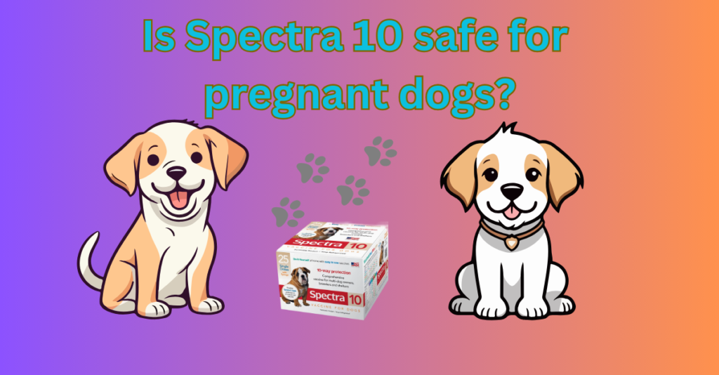 Is Spectra 10 safe for pregnant dogs?