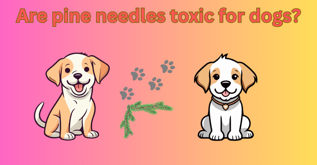 Are pine needles toxic for dogs?