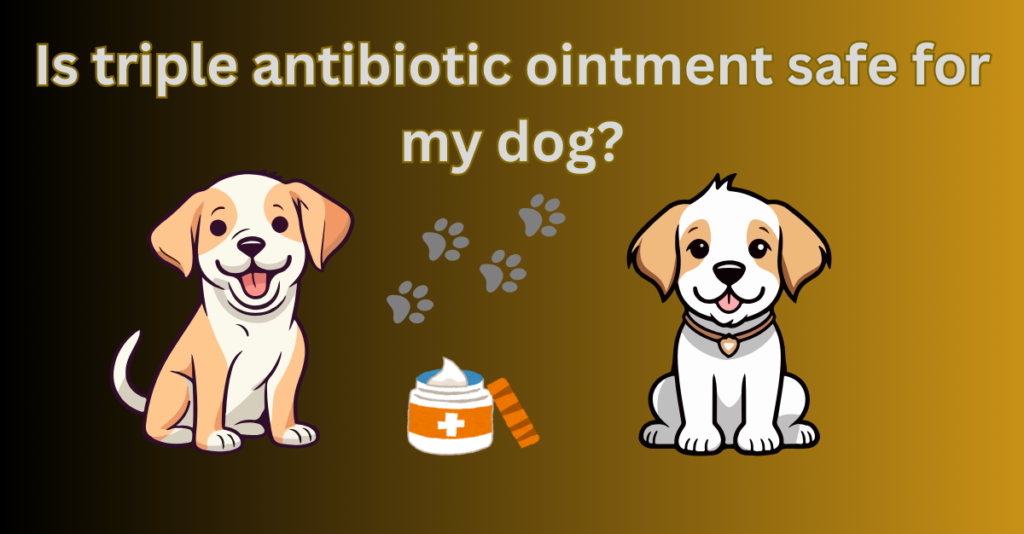 Is triple antibiotic ointment safe for my dog?