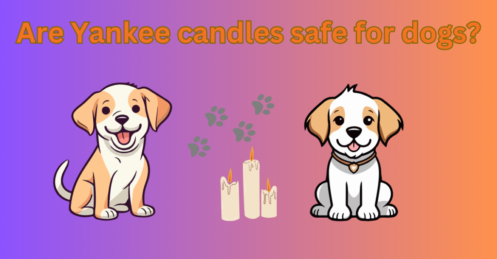 Are Yankee candles safe for dogs?