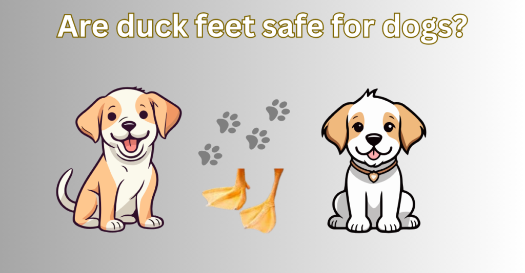 Are duck feet safe for dogs?