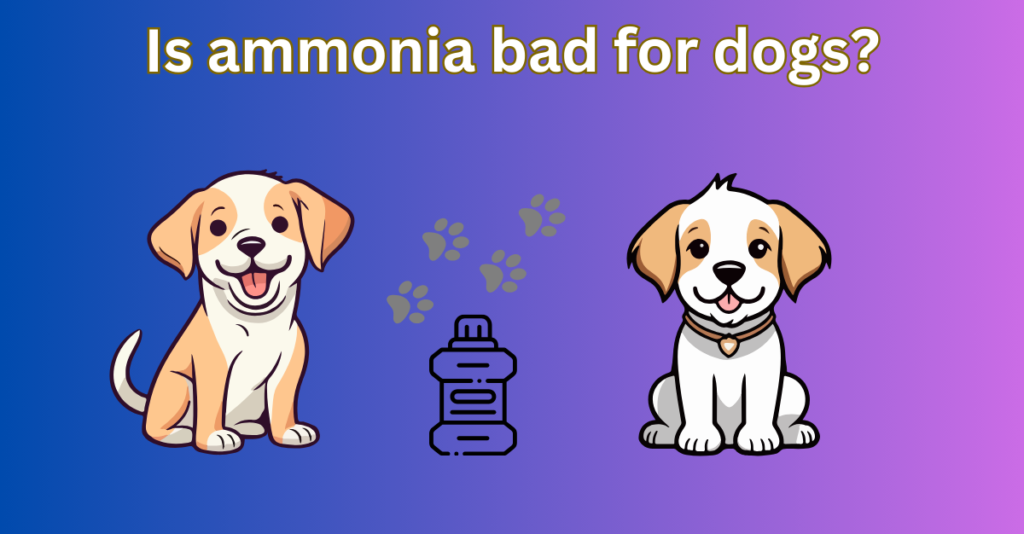 Is ammonia bad for dogs?